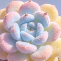李*婷